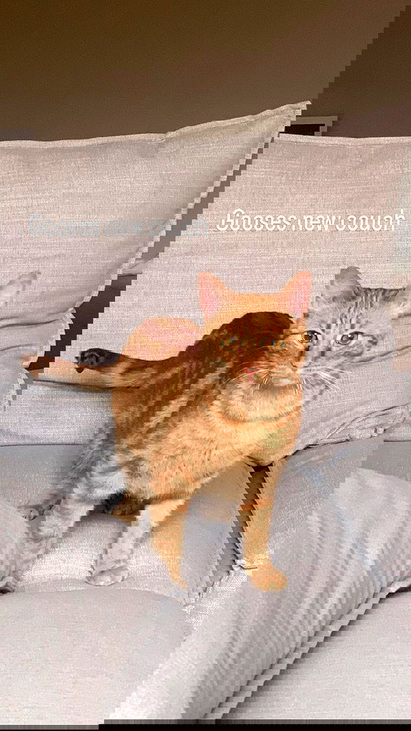 winbun.io winbun.io archive image