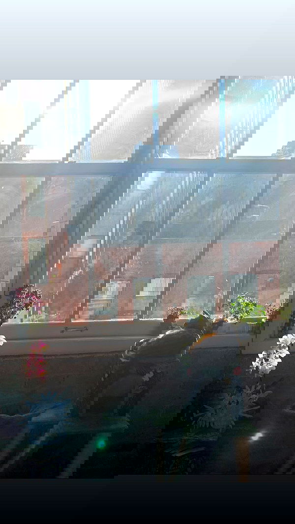 winbun.io winbun.io archive image