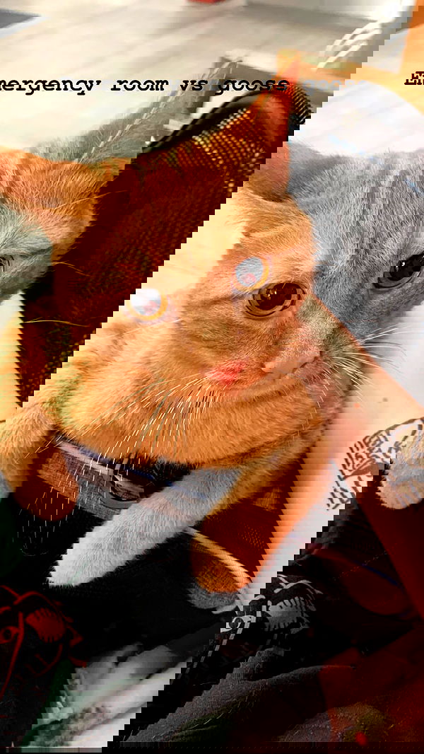 winbun.io winbun.io archive image