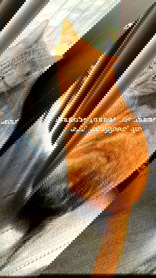 winbun.io winbun.io archive image