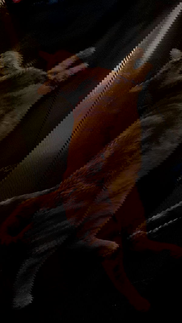 winbun.io winbun.io archive image