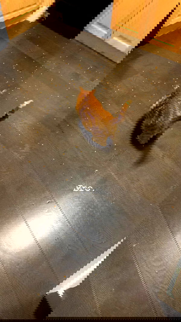 winbun.io winbun.io archive image