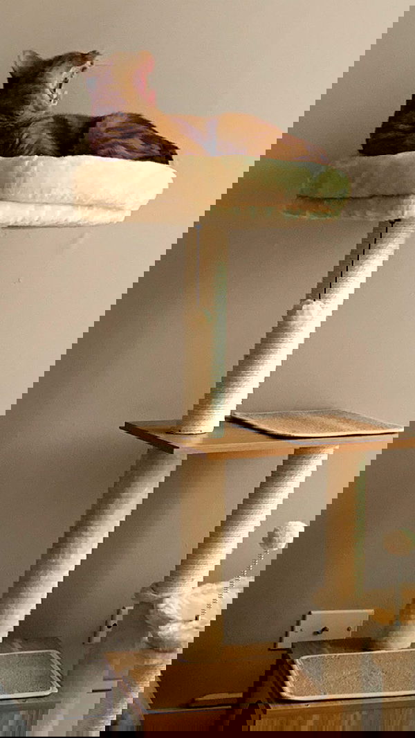 winbun.io winbun.io archive image