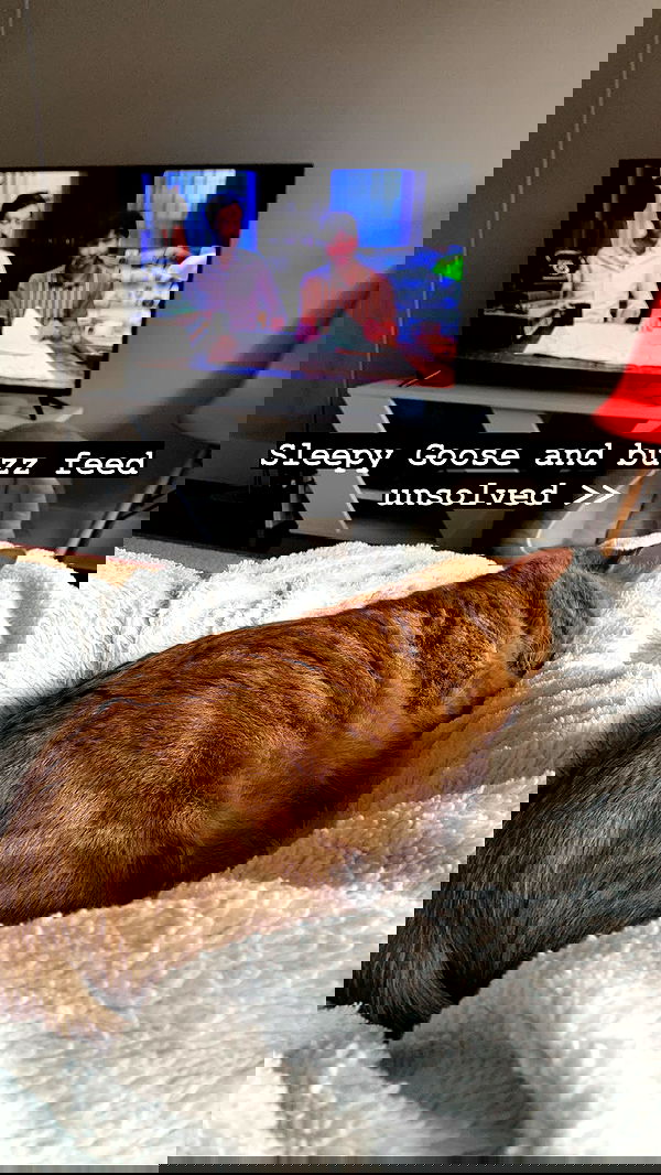 winbun.io winbun.io archive image