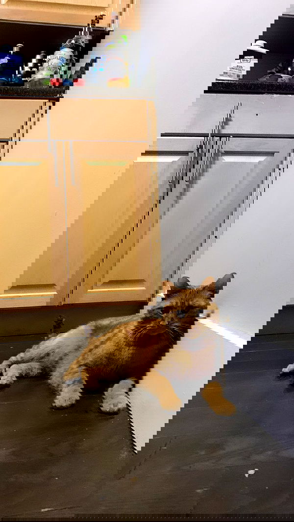 winbun.io winbun.io archive image