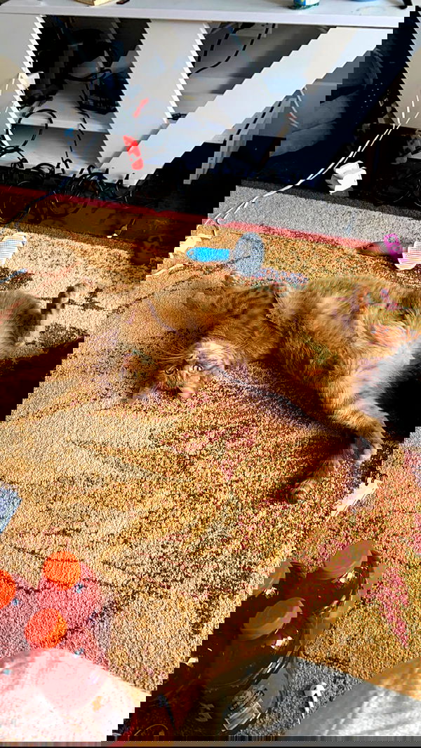 winbun.io winbun.io archive image