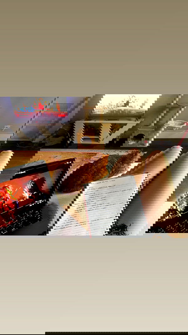 winbun.io winbun.io archive image