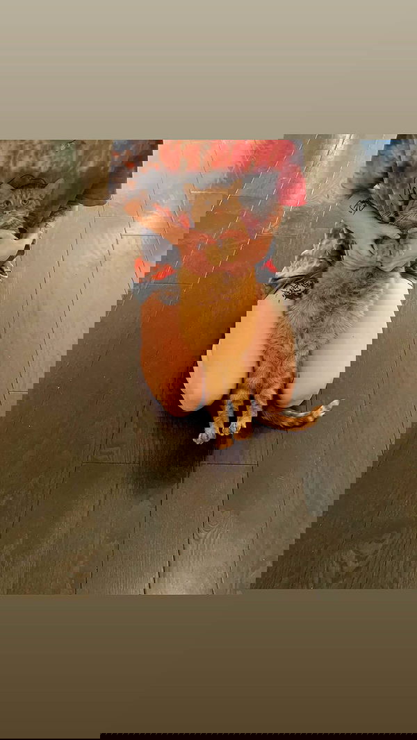 winbun.io winbun.io archive image