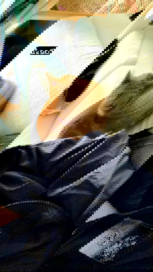 winbun.io winbun.io archive image