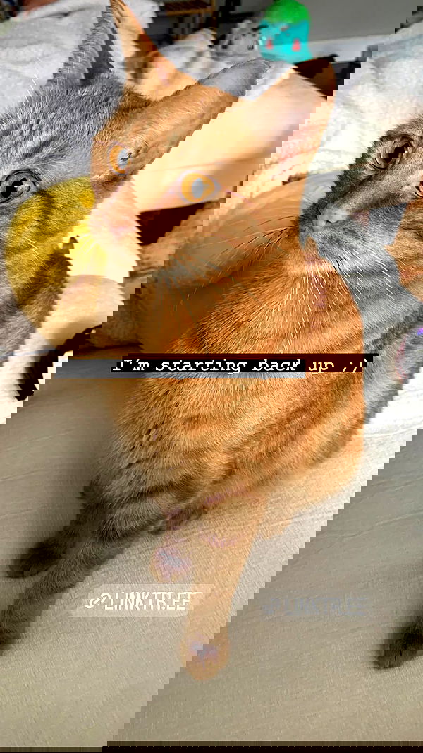 winbun.io winbun.io archive image