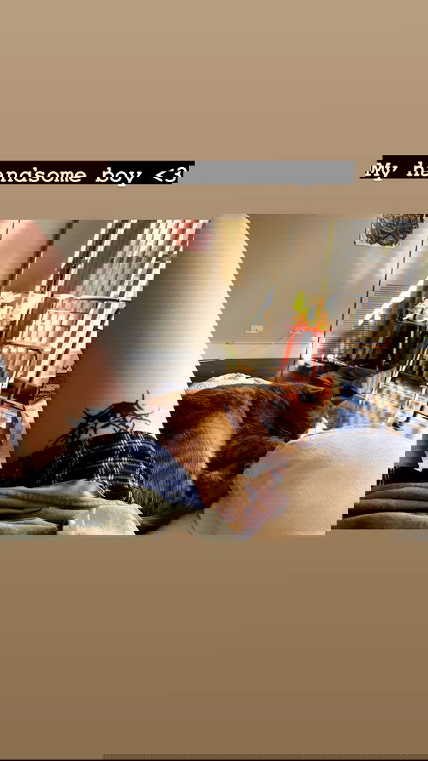 winbun.io winbun.io archive image