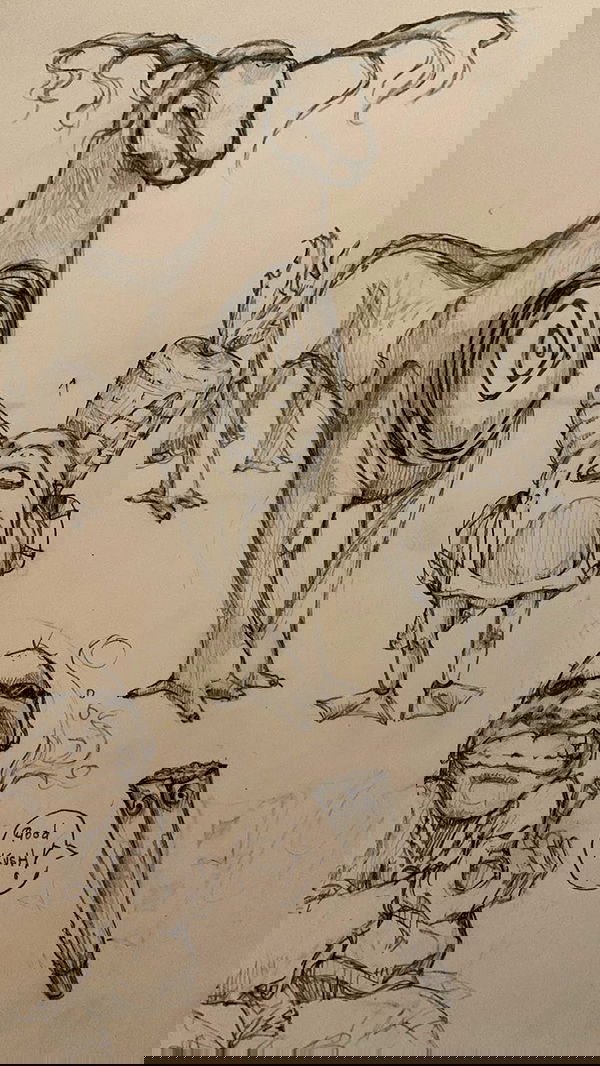 winbun.io winbun.io archive image