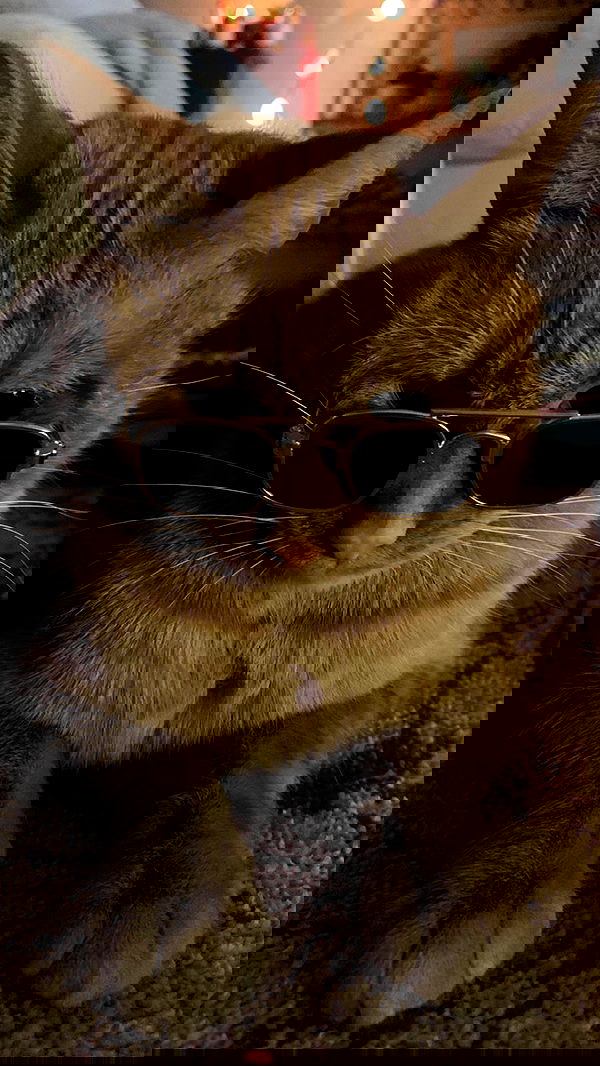 winbun.io winbun.io archive image