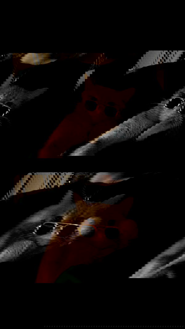 winbun.io winbun.io archive image