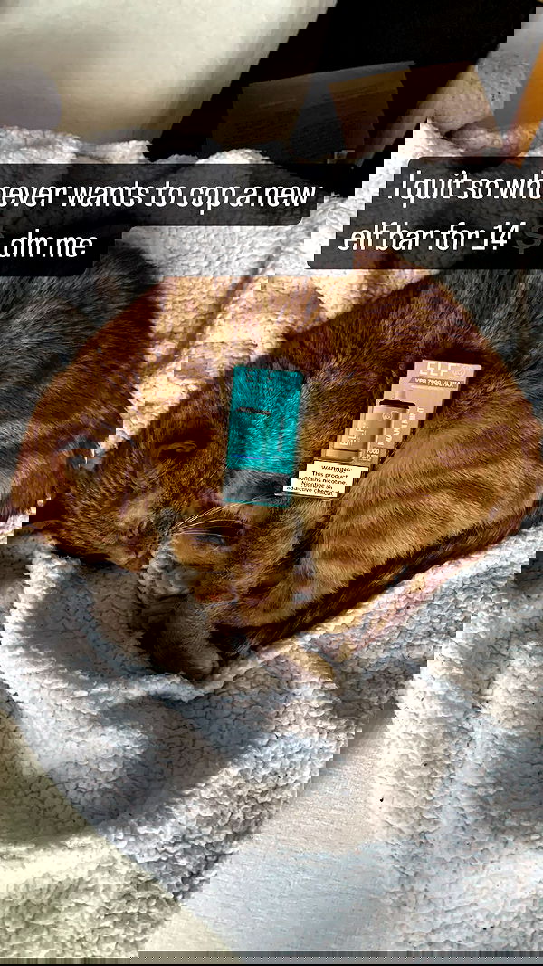 winbun.io winbun.io archive image