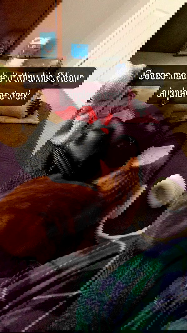 winbun.io winbun.io archive image