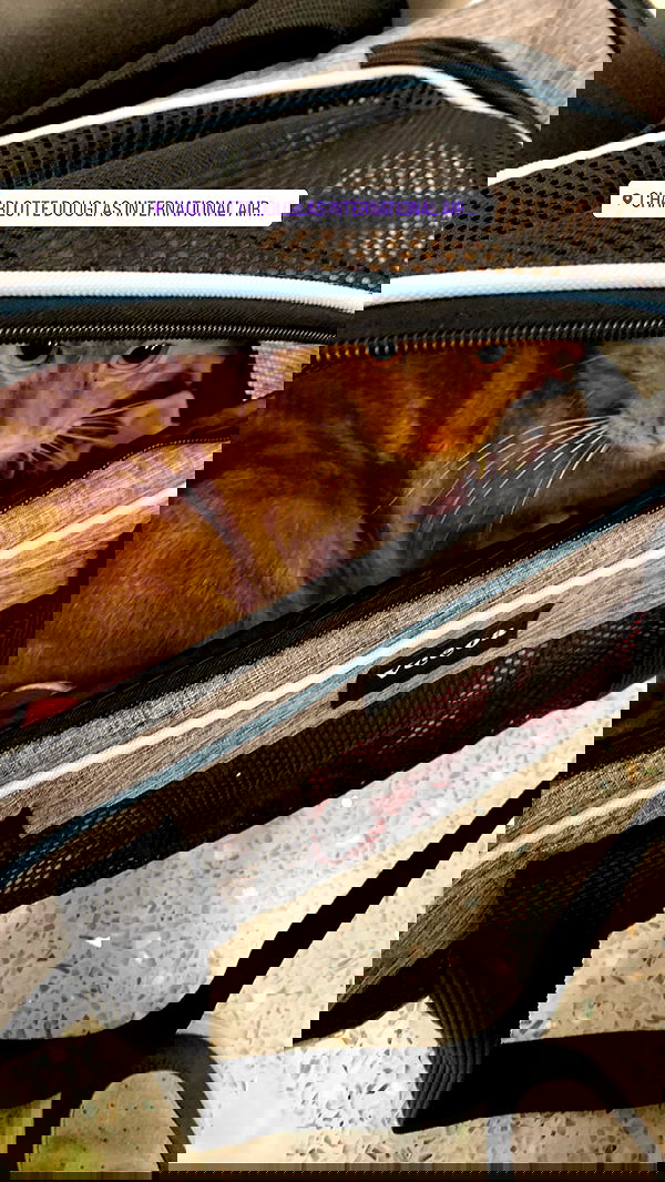 winbun.io winbun.io archive image