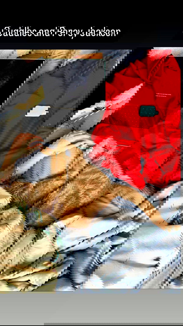 winbun.io winbun.io archive image