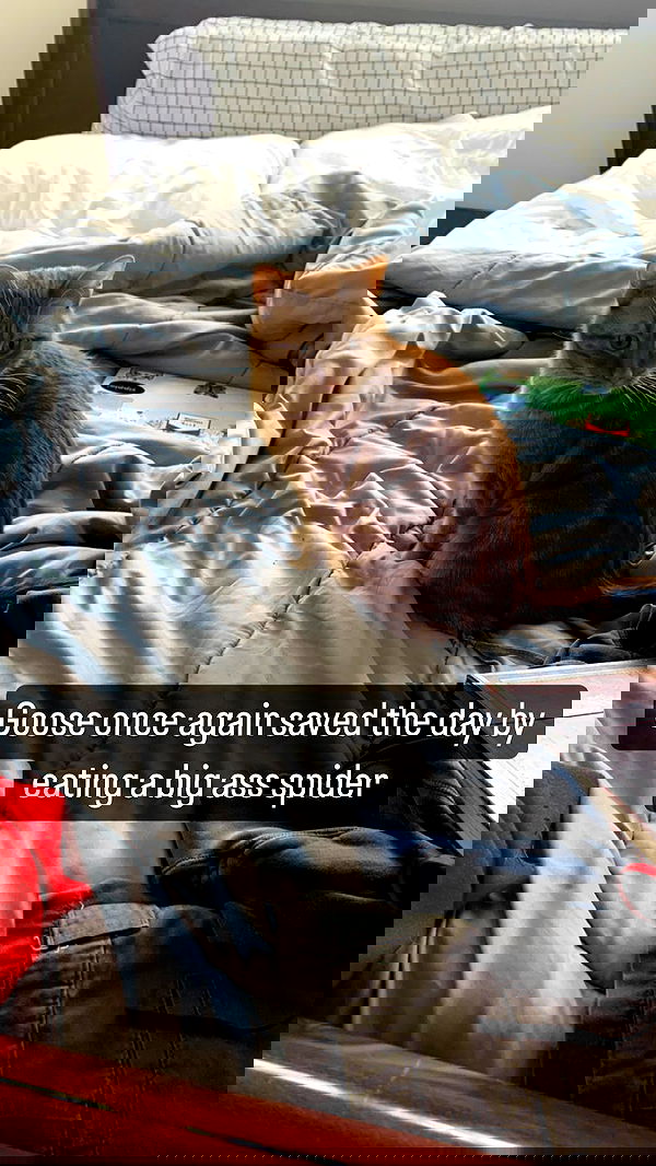 winbun.io winbun.io archive image