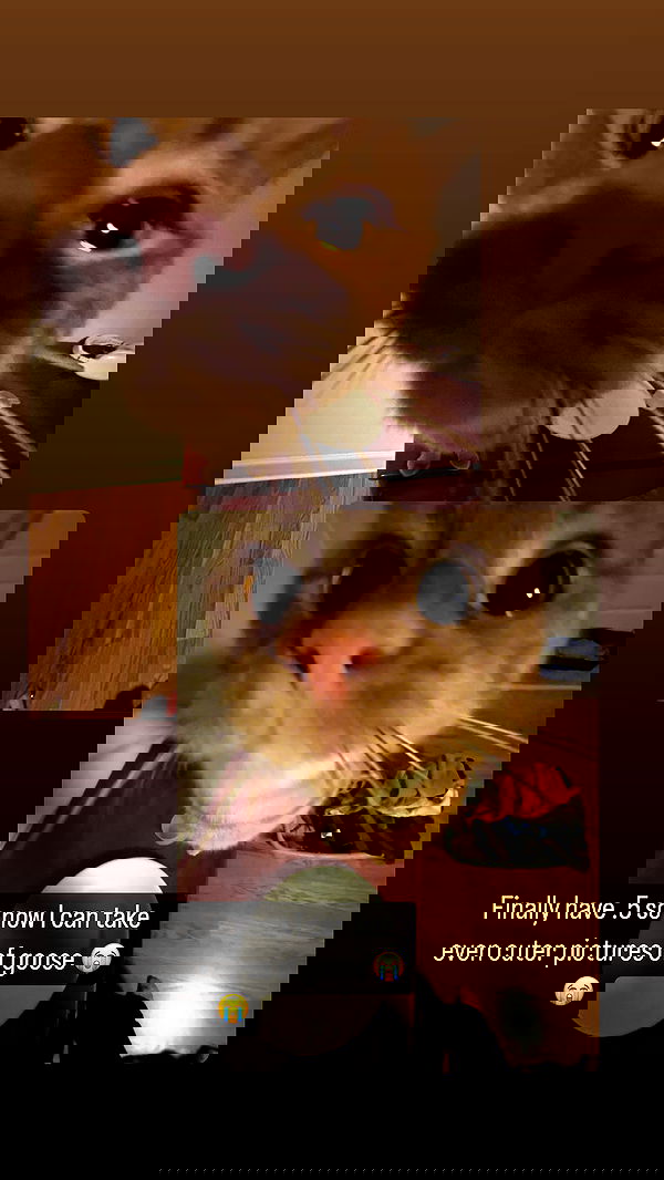 winbun.io winbun.io archive image