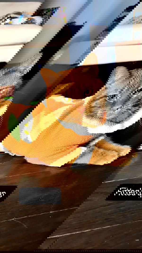 winbun.io winbun.io archive image