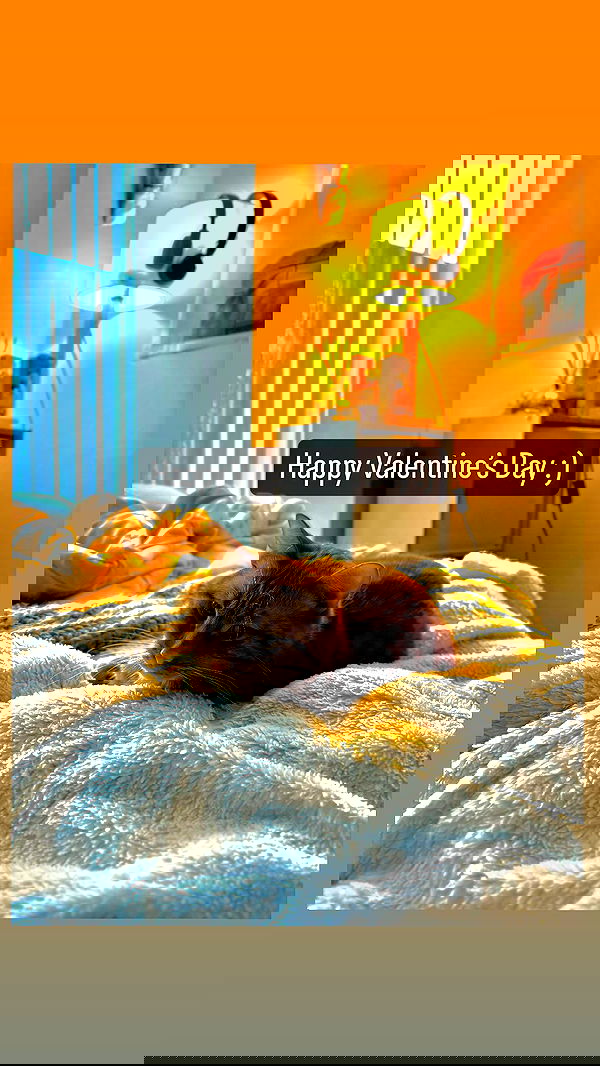 winbun.io winbun.io archive image