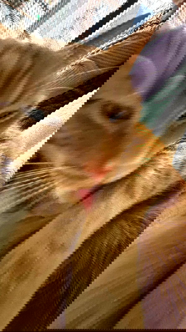 winbun.io winbun.io archive image