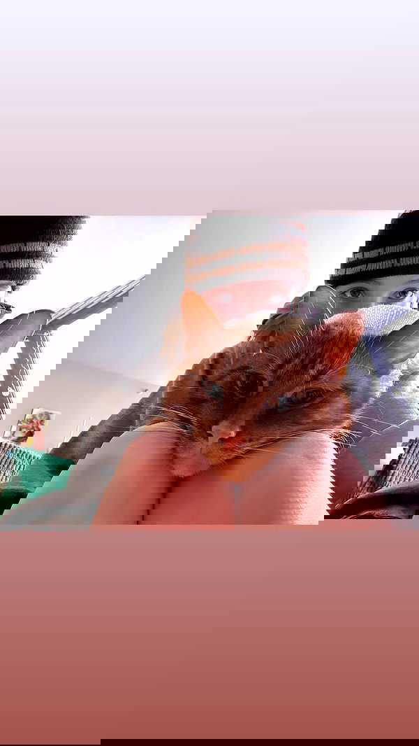 winbun.io winbun.io archive image