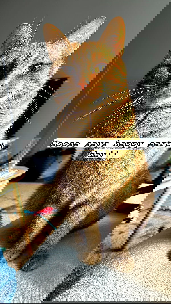 winbun.io winbun.io archive image