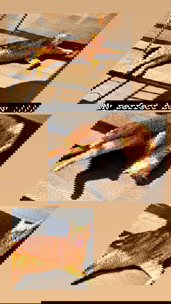 winbun.io winbun.io archive image