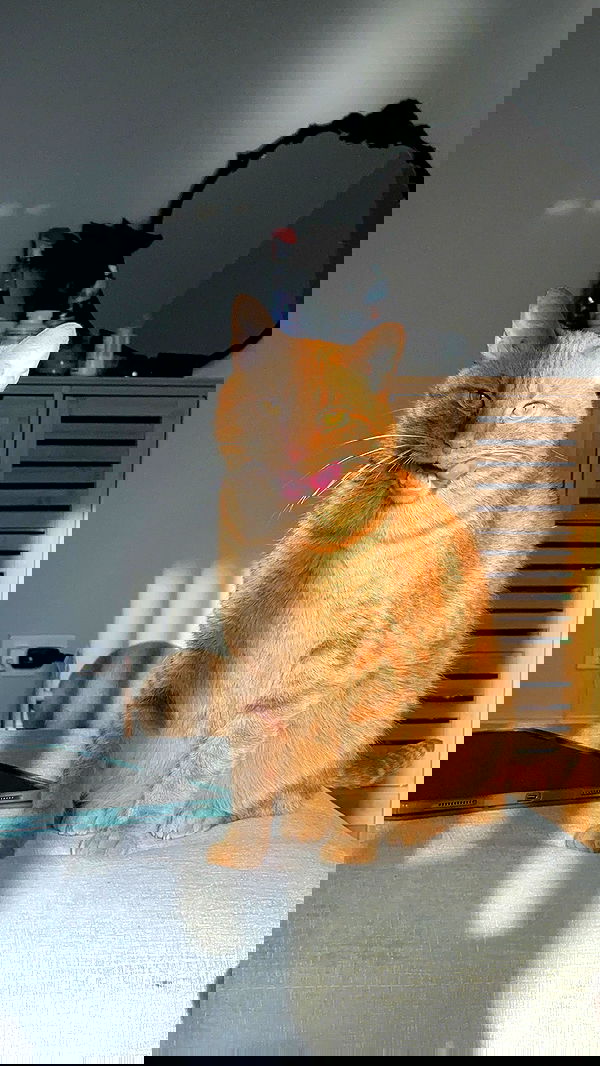 winbun.io winbun.io archive image