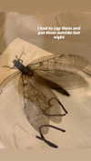wormfood____ Altpins Profile Picture