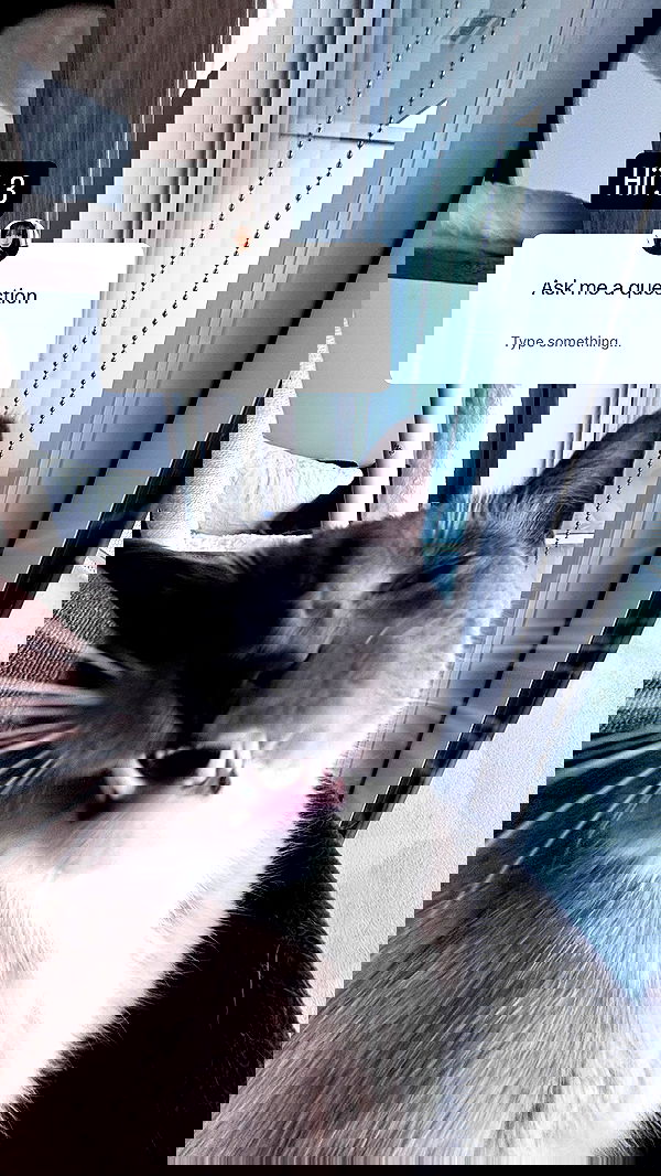 wuvkyu wuvkyu archive image