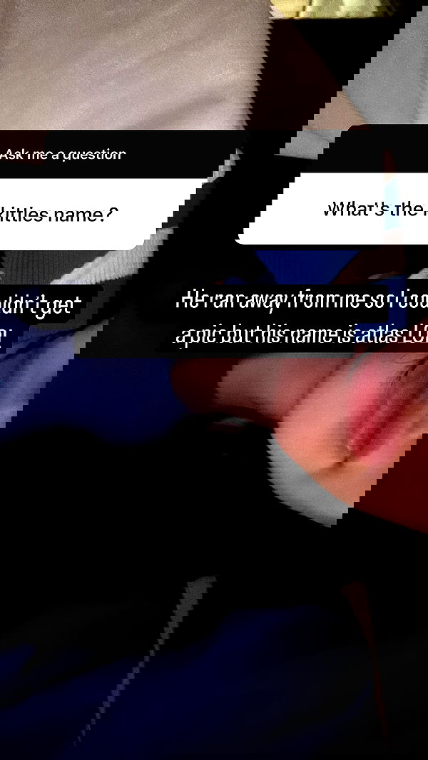 wuvkyu wuvkyu archive image