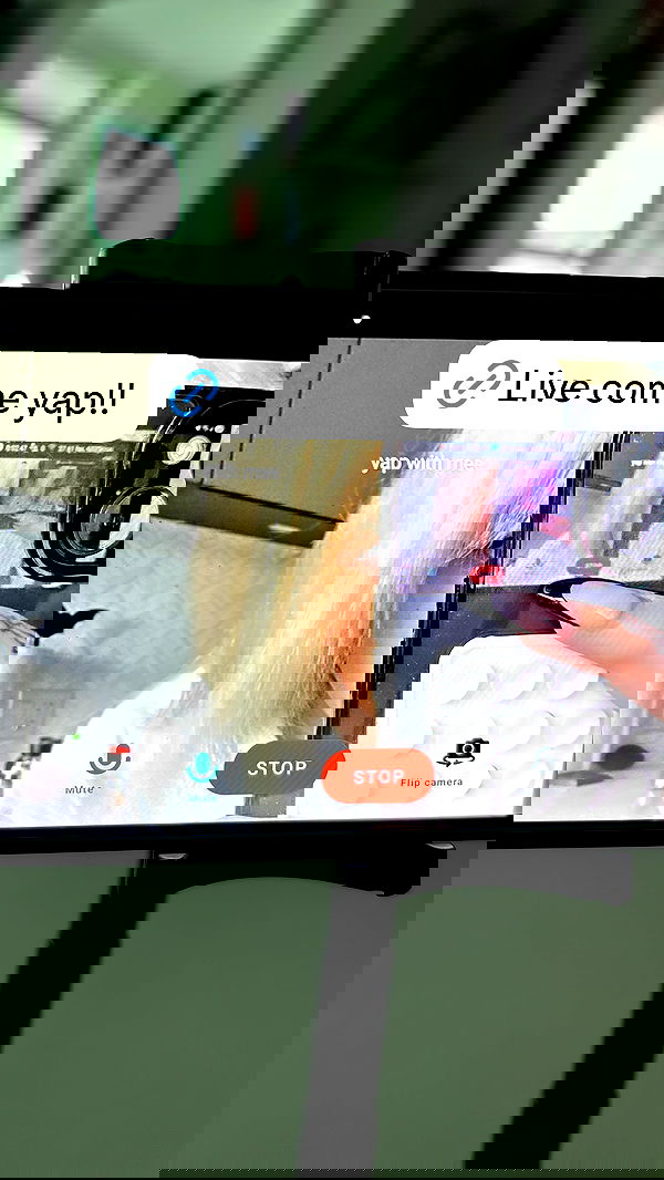 wuvkyu wuvkyu archive image