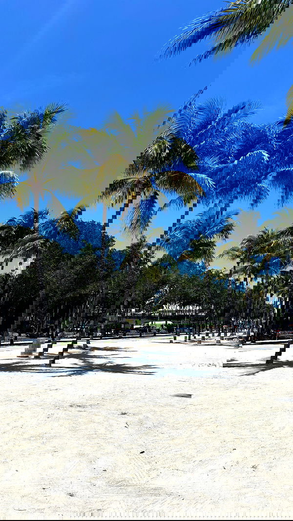 wuvkyu wuvkyu archive image