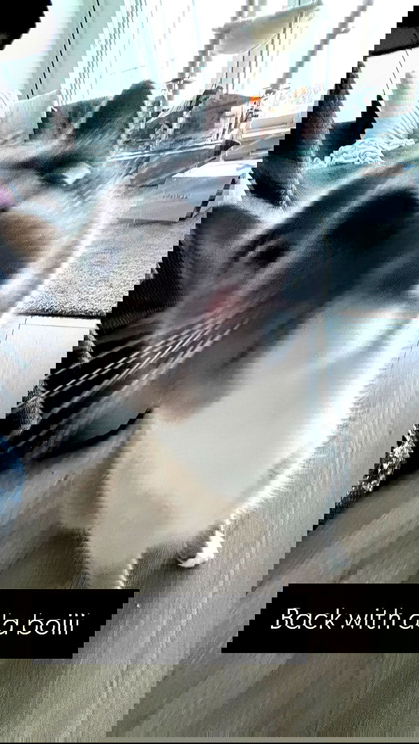 wuvkyu wuvkyu archive image