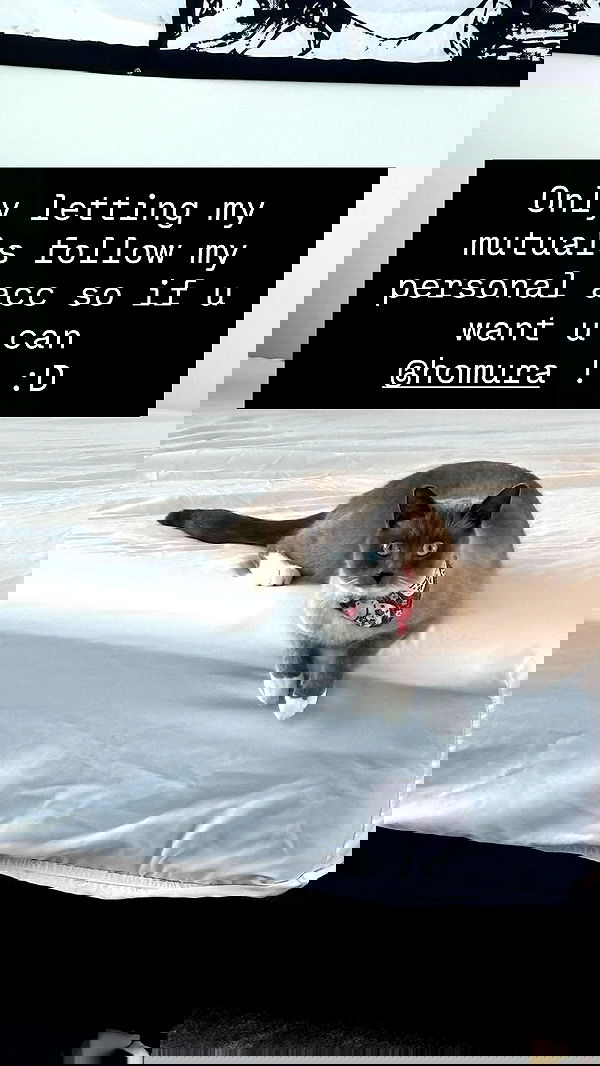 wuvkyu wuvkyu archive image