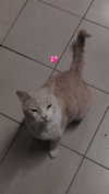x.angelzk Altpins Profile Picture