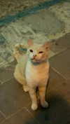 x.angelzk Altpins Profile Picture