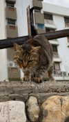 x.angelzk Altpins Profile Picture