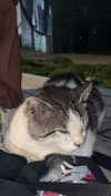 x.angelzk Altpins Profile Picture