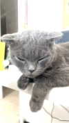 x.angelzk Altpins Profile Picture