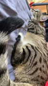 x.angelzk Altpins Profile Picture