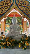 x_jendayi_x Altpins Profile Picture