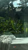 x_jendayi_x Altpins Profile Picture