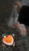 x_jendayi_x Altpins Profile Picture