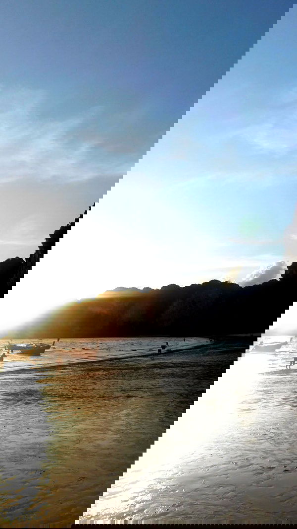 xeiyza image ~ Altpins