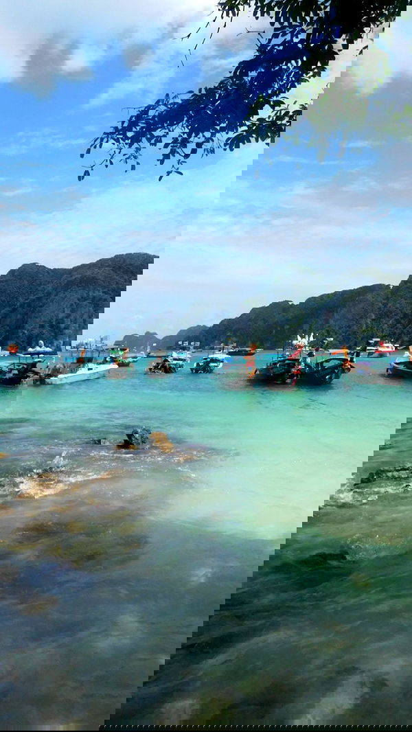 xeiyza image ~ Altpins