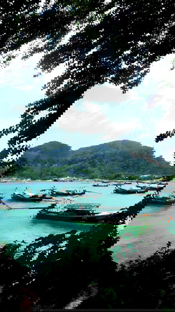 xeiyza image ~ Altpins